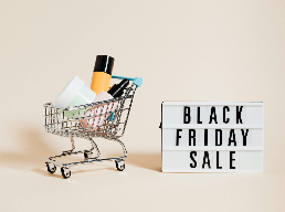 Black Friday Sale